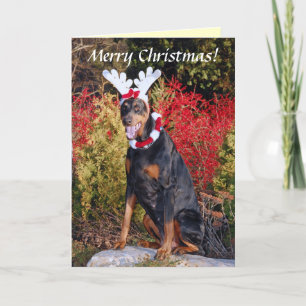 Reindobe Christmas Greeting Card