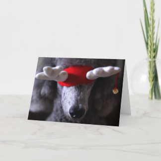 Reindoodle Holiday Card I