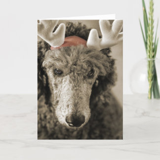 Reindoodle Holiday Card III