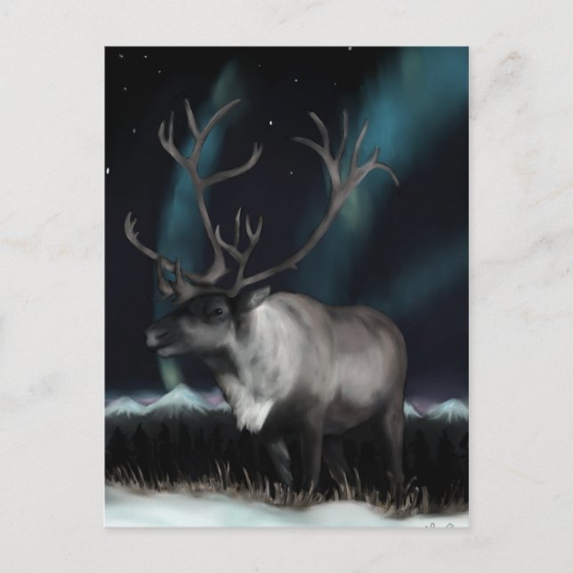 Reinedeer of the Northern Lights Postcard (Front)