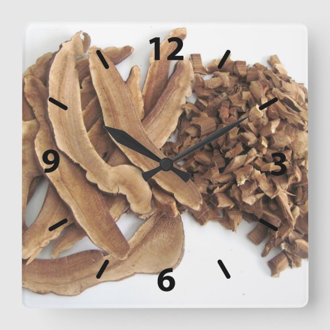 Reishi Mushroom Wall Clock (Front)