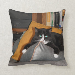 Relax  A Cat Cushion