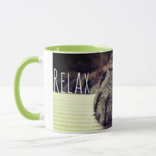 Relax cat Mug