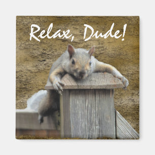RELAX, DUDE! Squirrel Relaxing Critter Fun Magnet