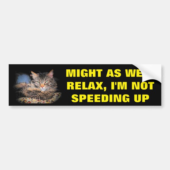 Relax, I'm Not Speeding Up w/ Bumper Cat Sticker (Front)