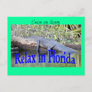 Relax in Florida Postcard