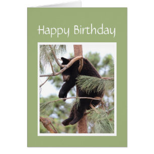 Relax it's Your Birthday Bear for Anyone Stressed