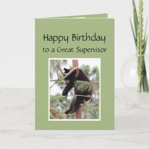 Relax it's Your Birthday Bear for Great Supervisor Card