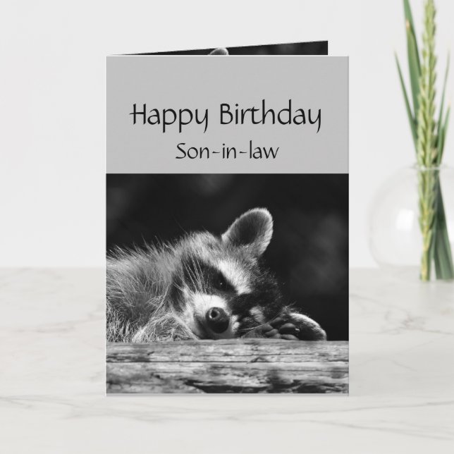 Relax it's Your Birthday Racoon Son-in-law Card (Front)