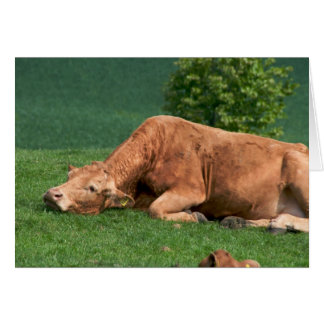 Relax, Life is too short