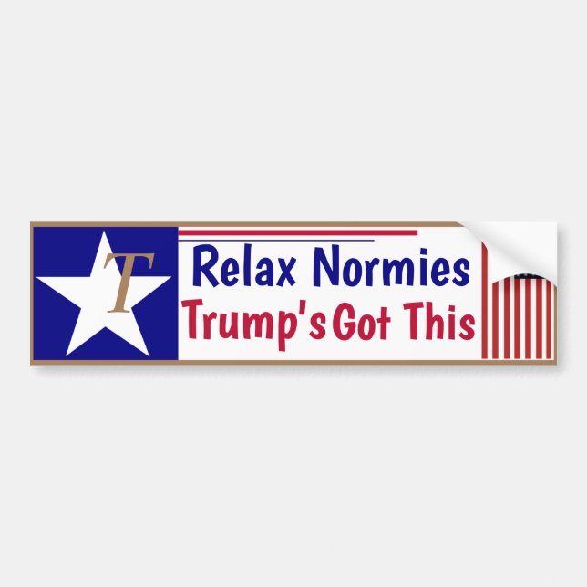 Relax Normies Trump's got this! Bumper Sticker (Front)