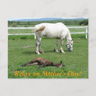 Relax on Mother's Day! Postcard