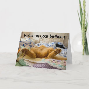 Relax on your birthday lazy cat greeting card