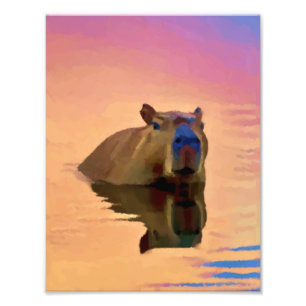 Relaxation Day Photo Print