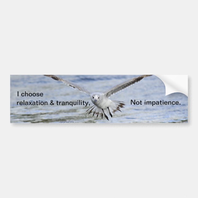 Relaxation tranquility impatience Bumper Sticker (Front)