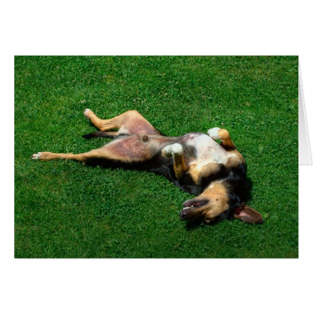 relaxed (Front Horizontal)