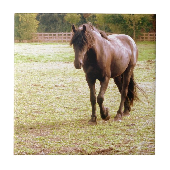 Relaxed Brown Horse Walking Tile (Front)