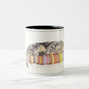 Relaxed Cat Mug