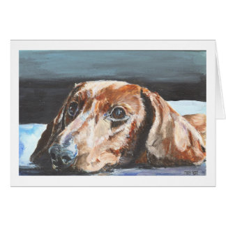 Relaxed Dachshund