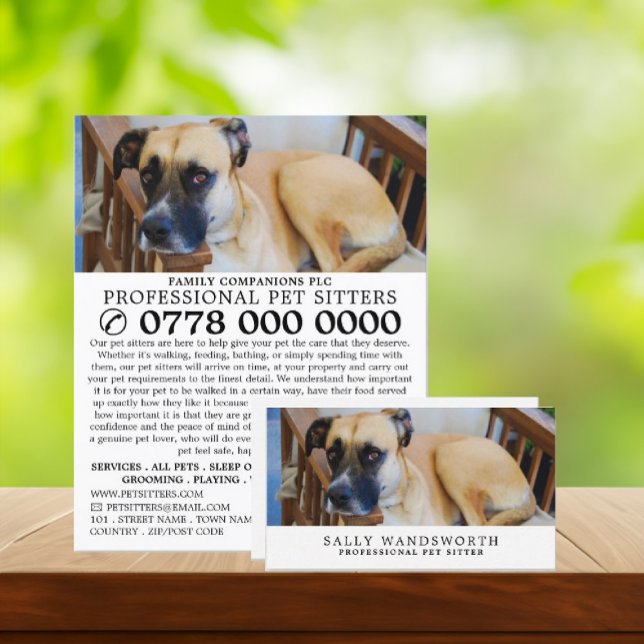 Relaxed Dog, Pet Sitting Service Advertising Flyer (Creator Uploaded)