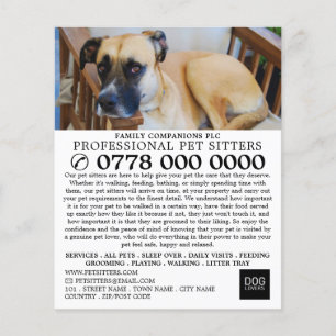 Relaxed Dog, Pet Sitting Service Advertising Flyer