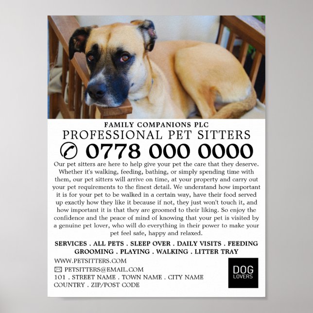 Relaxed Dog, Pet Sitting Service Advertising Poster (Front)