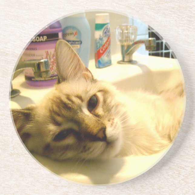 relaxed kitty Coaster (Front)