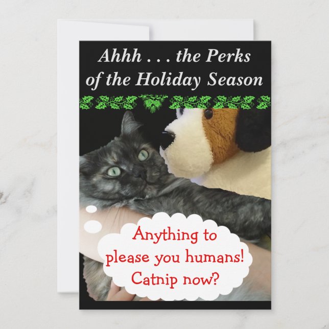 Relaxed Party Invite (Cat) by RoseWrites (Front)