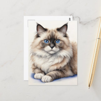 Relaxed Ragdoll Cat Illustration Cosy Pet  Postcard