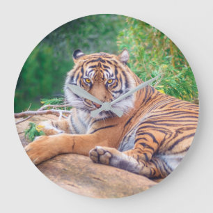 Relaxed Reclining Tiger Large Clock