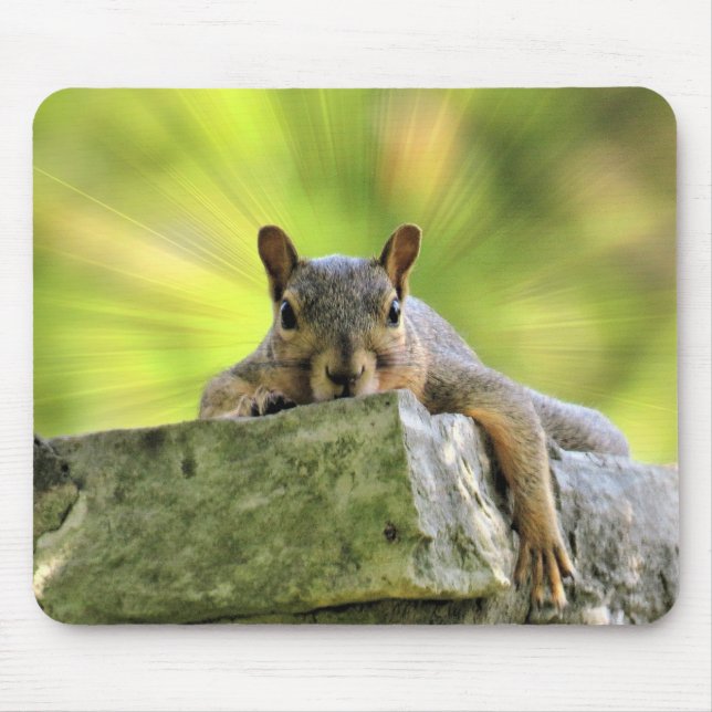 Relaxed Squirrel Mouse Mat (Front)