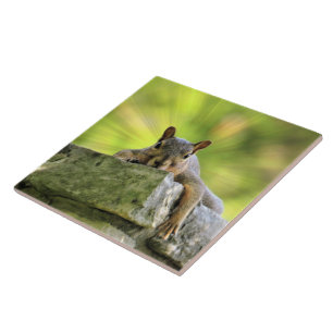 Relaxed Squirrel Tile