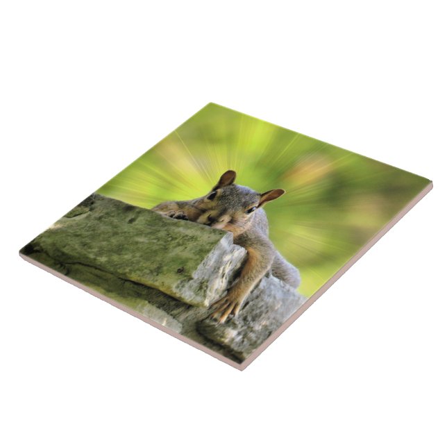 Relaxed Squirrel Tile (Side)
