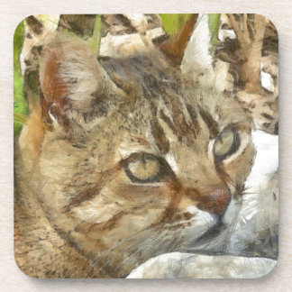 Relaxed Tabby Cat Resting In Garden Pencil Sketch Coaster