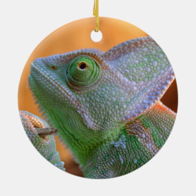 Relaxed Veiled Chameleon Ceramic Tree Decoration (Back)