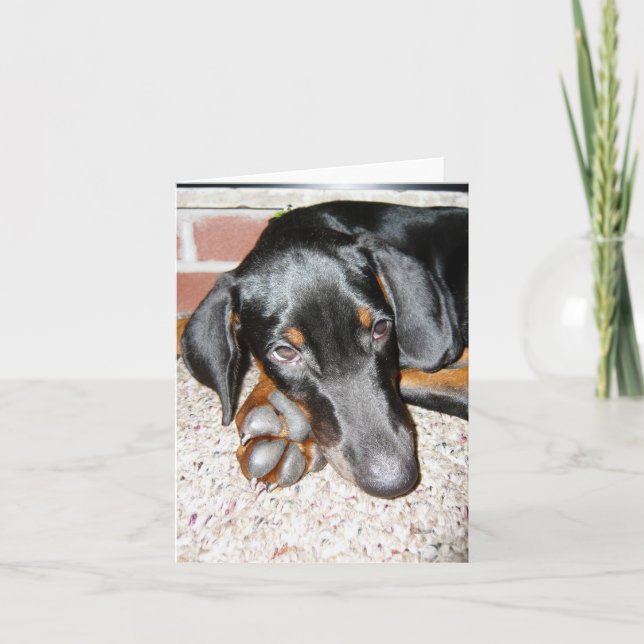 Relaxing Doberman Pinscher Puppy - Blank Note Card (Front)