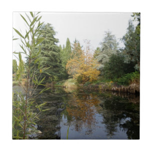 Relaxing garden scene picture, beautiful trees... tile