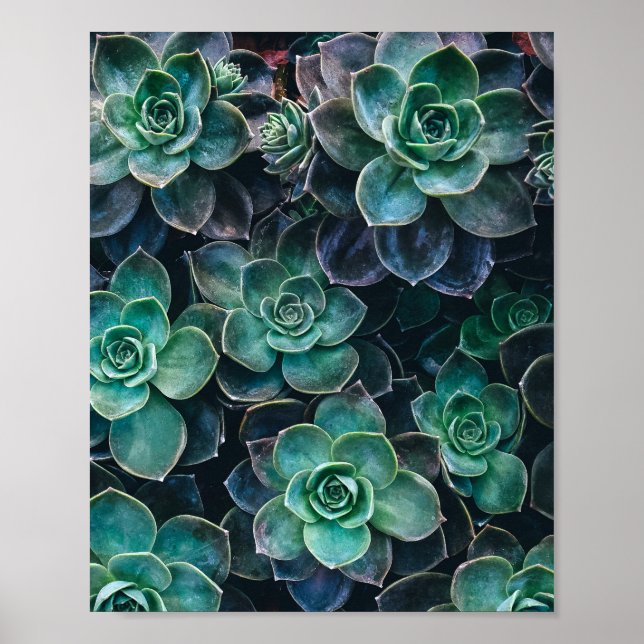 Relaxing Green Blue Succulent Cactus Plants Poster (Front)