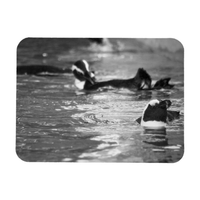 Relaxing Magnet (Horizontal)