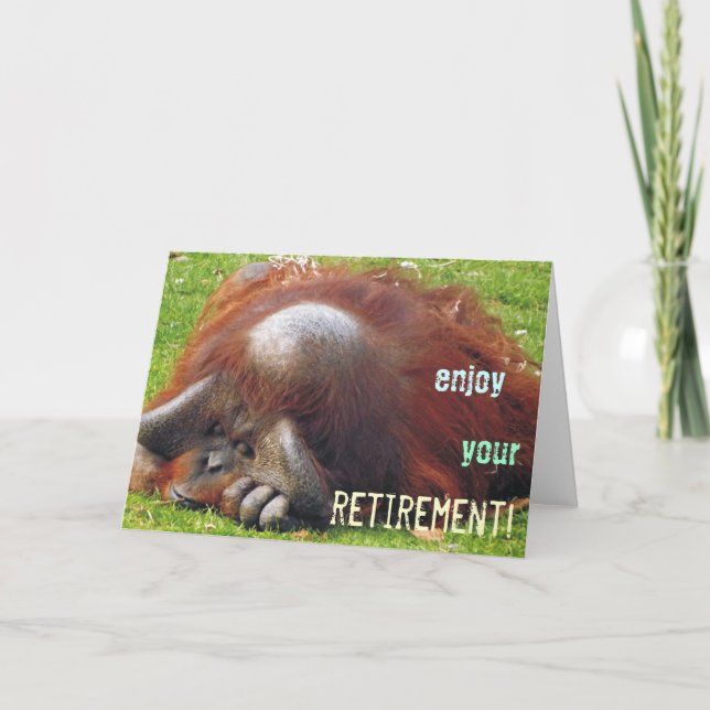 Relaxing Orangutan Retirement Photo Greeting Cards (Front)