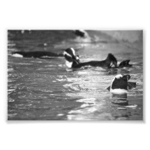 Relaxing Photo Print