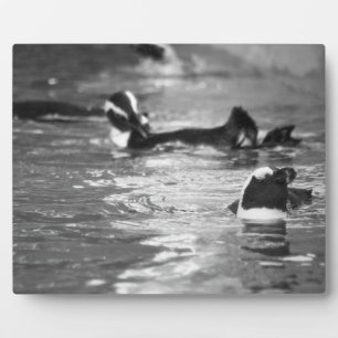 Relaxing Plaque