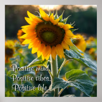 Relaxing Sunflower Picture Personalised Quote