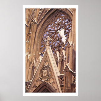 "Release" Dove at Church Artwork Poster