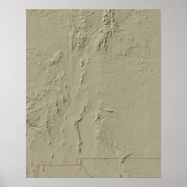 Relief Map of New Mexico Poster (Front)