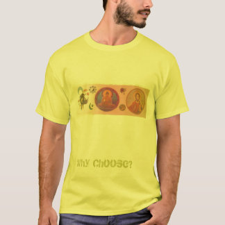 Religions, Why Choose? T-Shirt