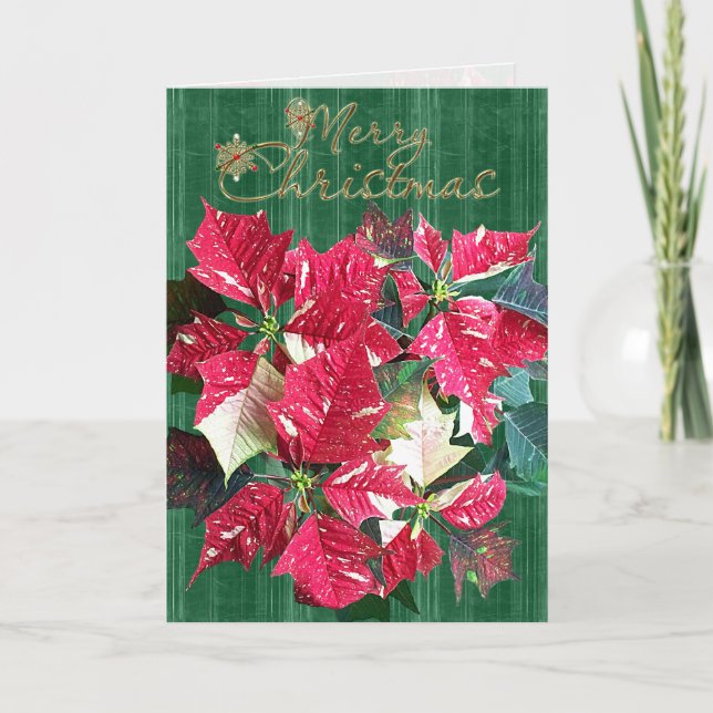 Religious Candy Cane Poinsettia Christmas Card (Front)
