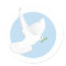 Religious Dove