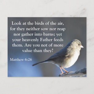 Religious Encouragement Postcard