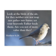 Religious Encouragement Postcard